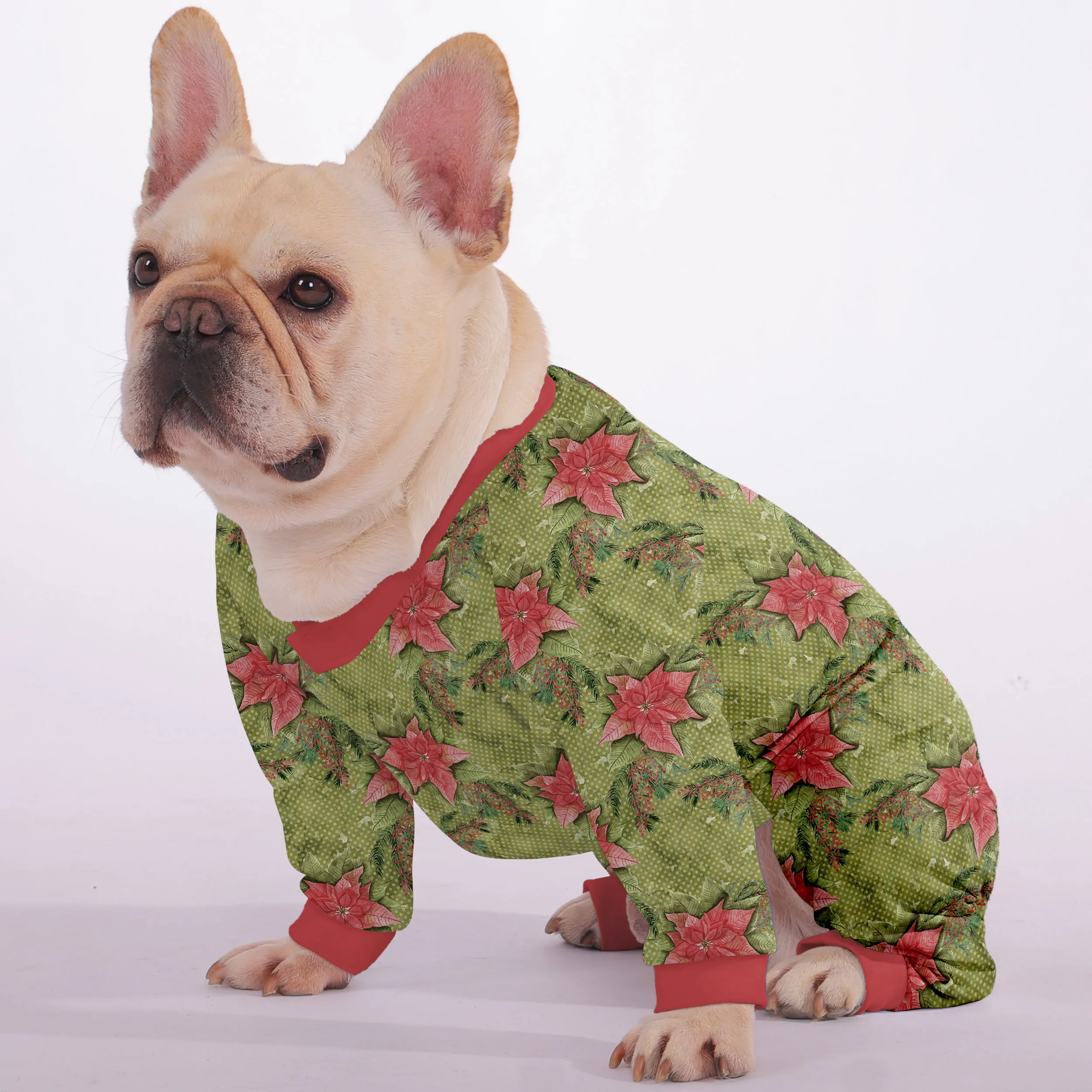 Basil - Frenchie Pajamas – Ultra-Soft, Cozy, & Adorably Stylish