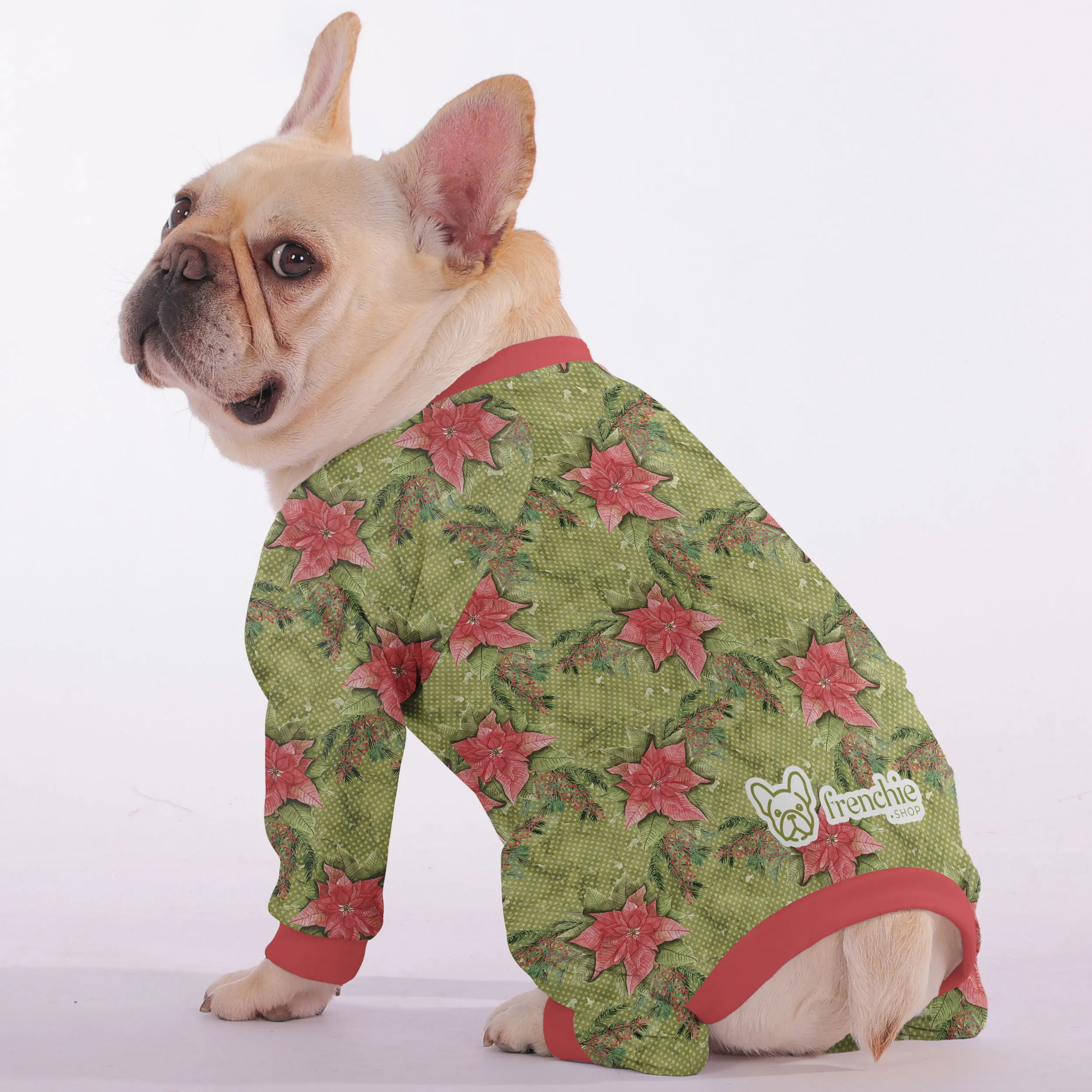 Basil - Frenchie Pajamas – Ultra-Soft, Cozy, & Adorably Stylish